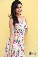 Anisha Ambrose At Fashion Designer Movie Success Meet